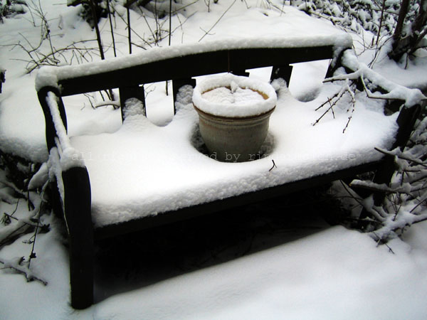 2009 BadbankSnow (1)