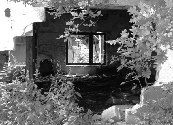 2009 Brokenwindows (5)